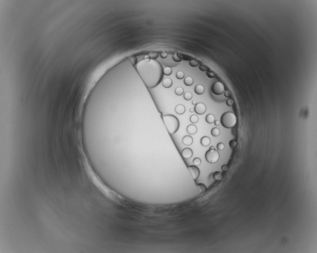 X0000112831437200909181639