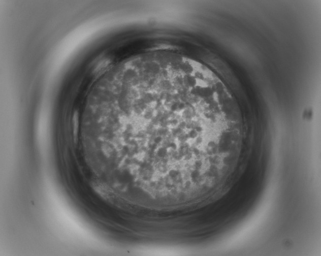 X0000112831439200909181639