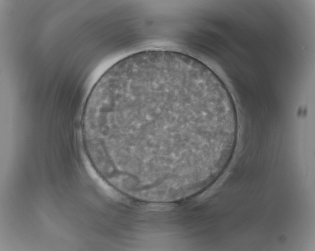 X0000112831440200909181639