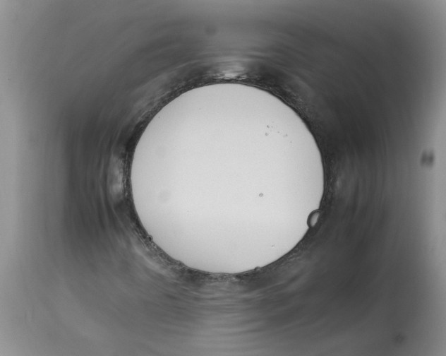 X0000112831442200909181638