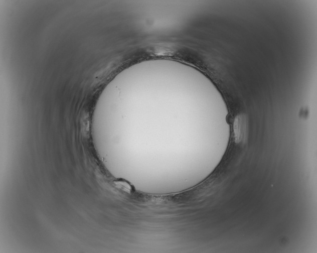 X0000112831443200909181638