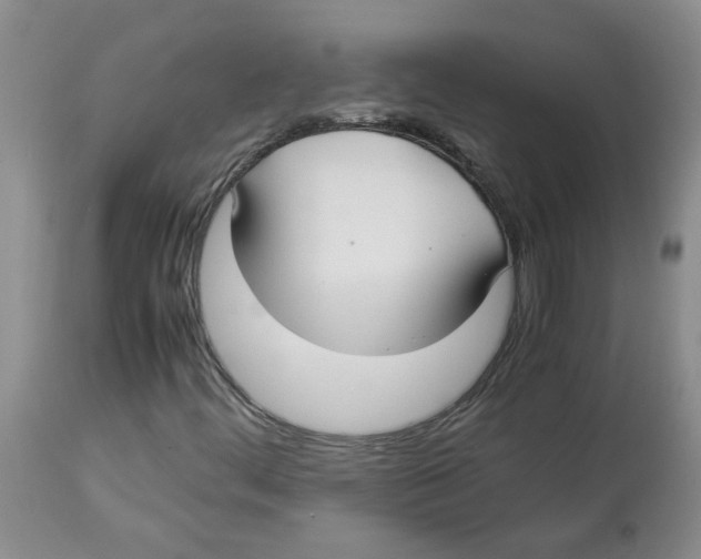 X0000112831444200909181638