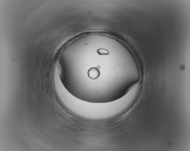 X0000112831449200909181638