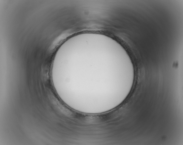 X0000112831451200909181638