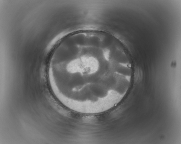 X0000112831454200909181638