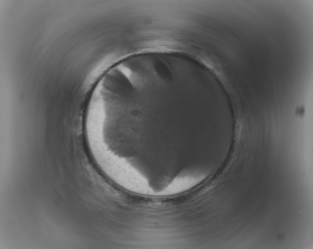 X0000112831459200909181638