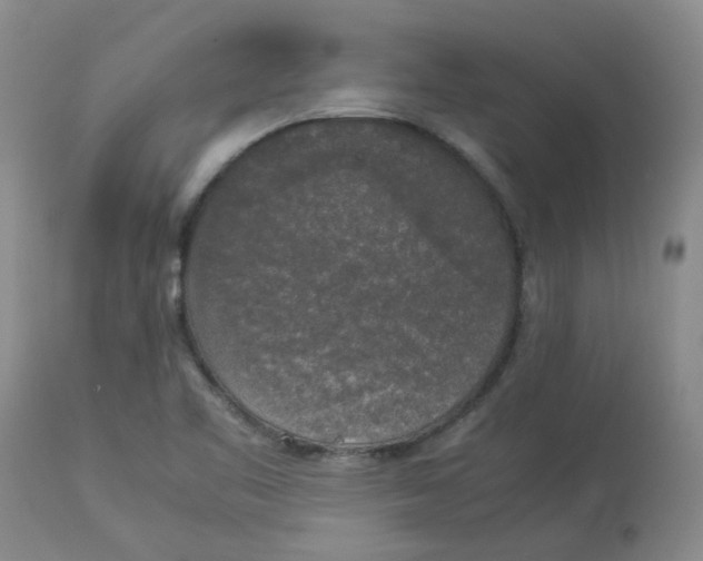 X0000112831461200909181638