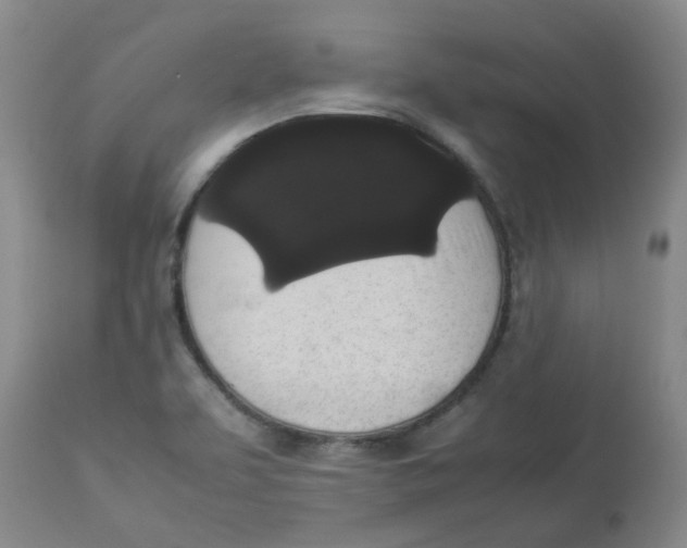 X0000112831463200909181638