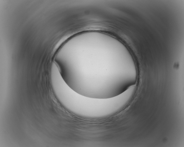 X0000112831465200909181638