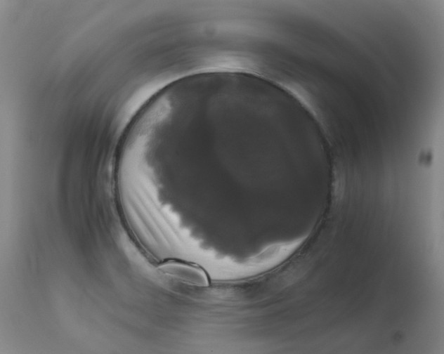 X0000112831468200909181638