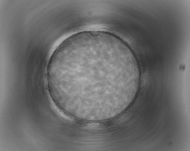 X0000112831470200909181638