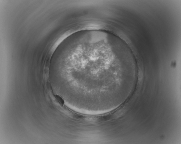 X0000112831473200909181638