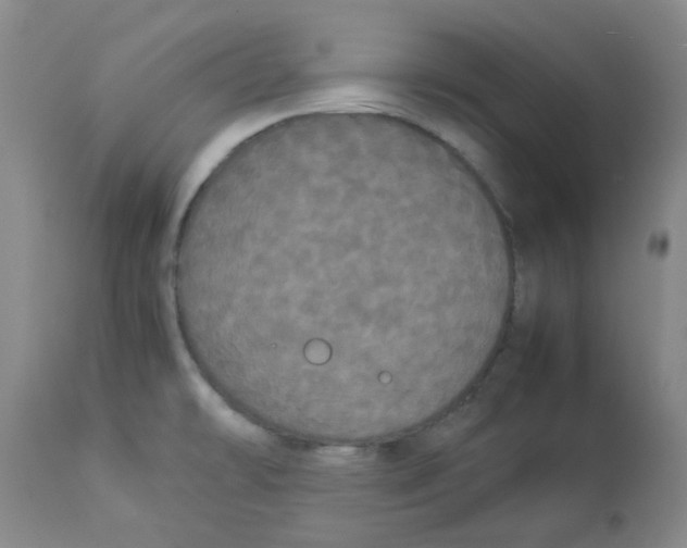 X0000112831478200909181638