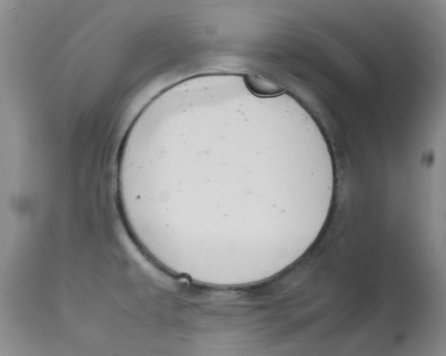 X0000112831479200909181638