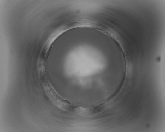 X0000112831481200909181638