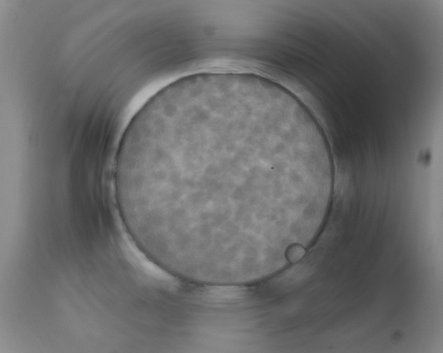 X0000112831486200909181638