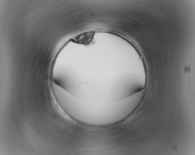 X0000112831488200909181638