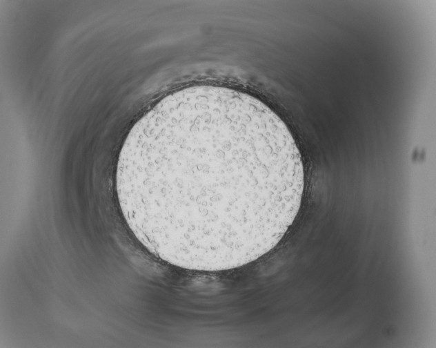 X0000112831489200909181637