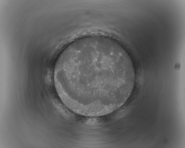 X0000112831490200909181637