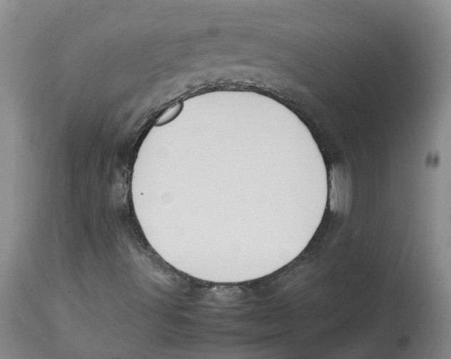 X0000112831491200909181637