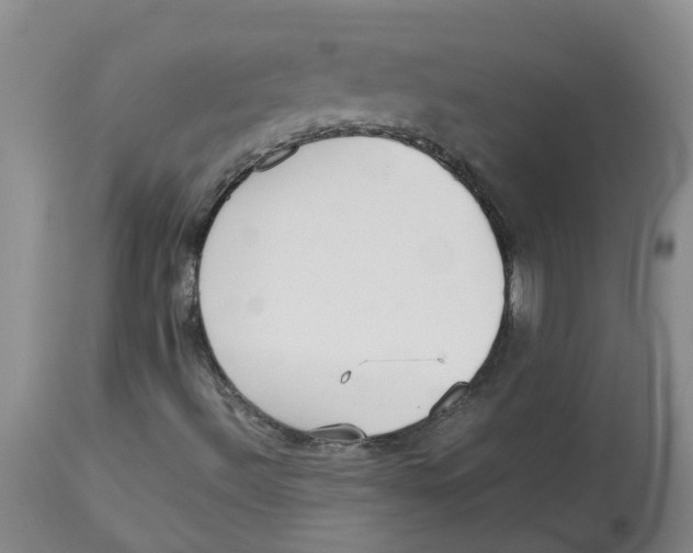 X0000112831492200909181637