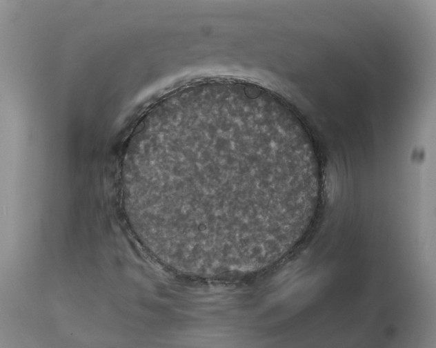 X0000112831494200909181637