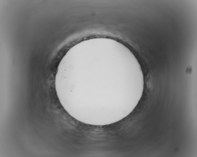 X0000112831495200909181637