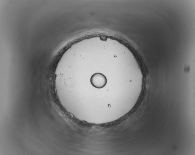 X0000112831496200909181637