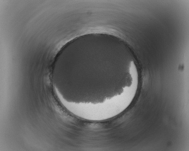 X0000112831497200909181637