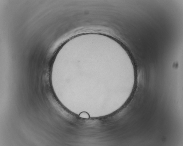 X0000112831498200909181637