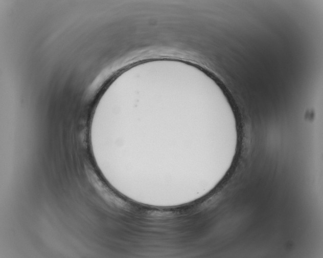 X0000112831499200909181637