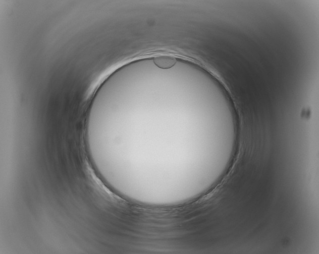 X0000112831500200909181637