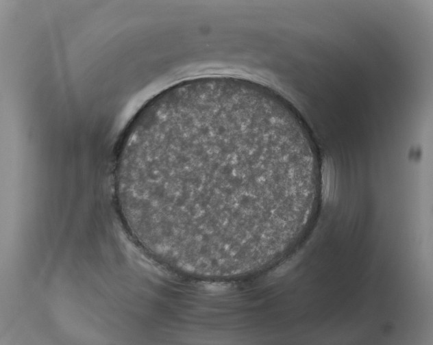 X0000112831501200909181637