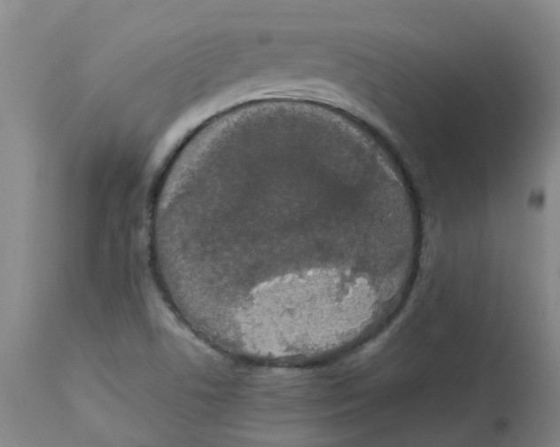 X0000112831506200909181637