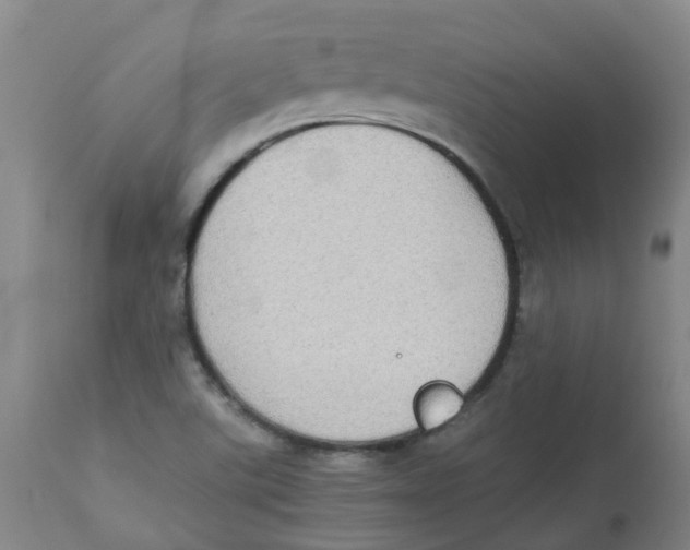 X0000112831507200909181637