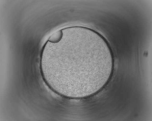 X0000112831508200909181637