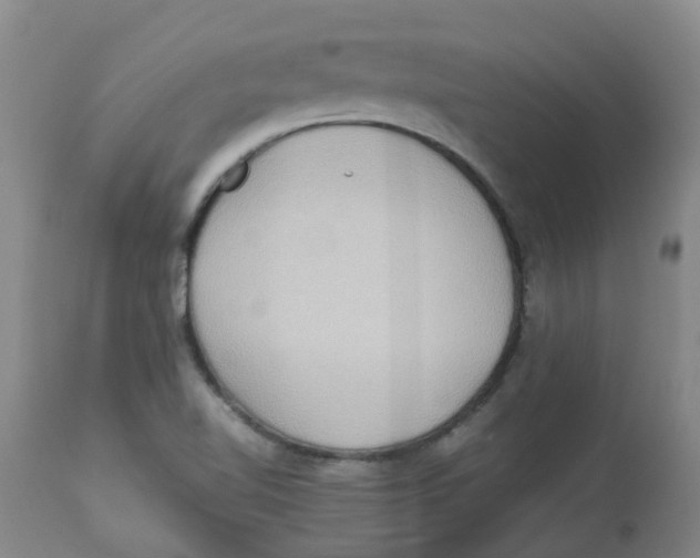 X0000112831510200909181637