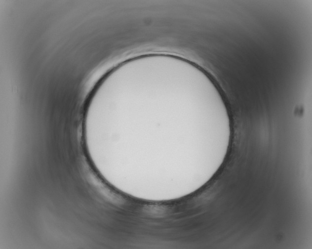 X0000112831511200909181637