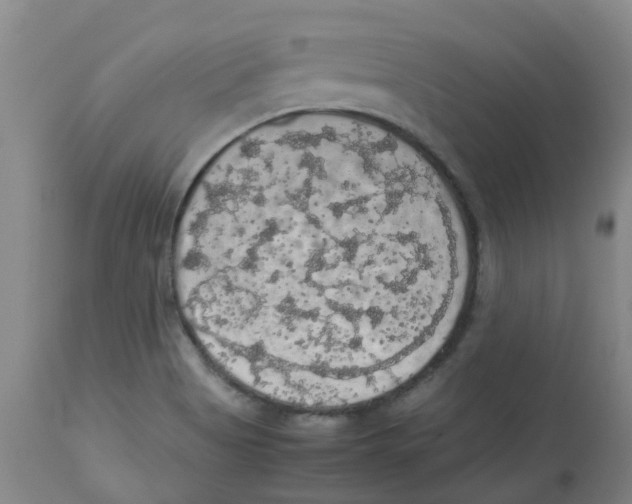 X0000112831513200909181637