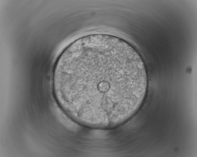 X0000112831514200909181637