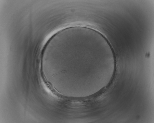 X0000112831515200909181637