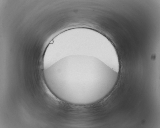 X0000112831516200909181637