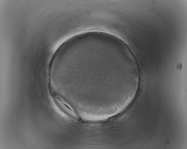 X0000112831519200909181637