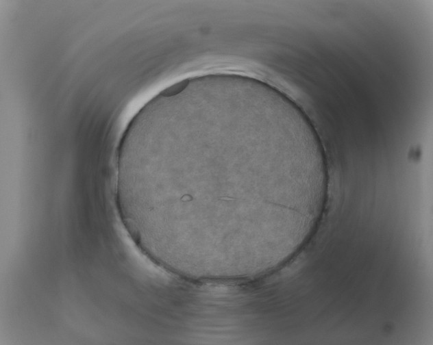 X0000112831520200909181637