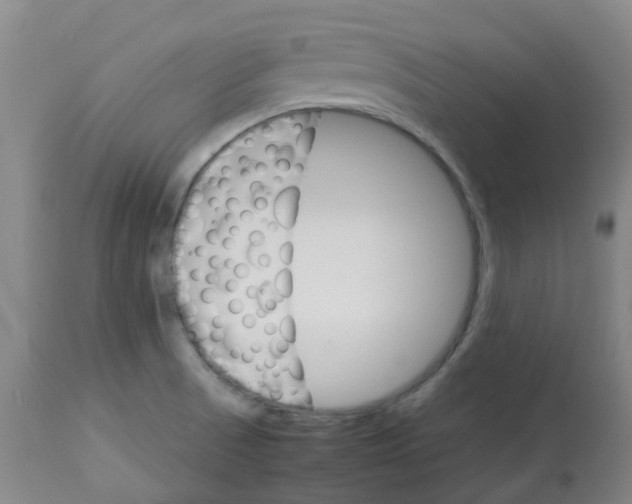 X0000112831521200909181637