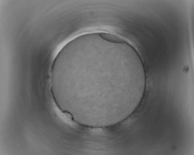 X0000112831524200909181637