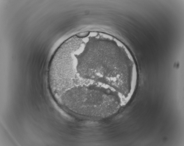 X0000112831525200909181637