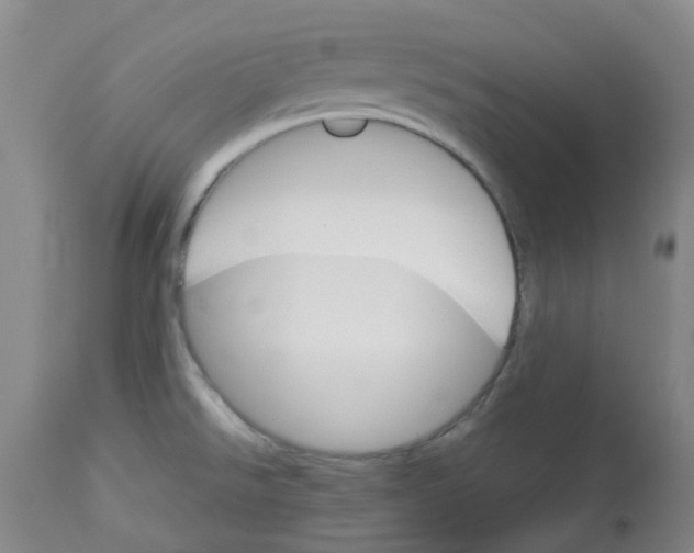 X0000112831526200909181637