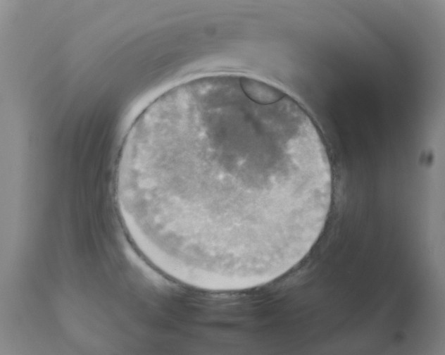 X0000112831527200909181637