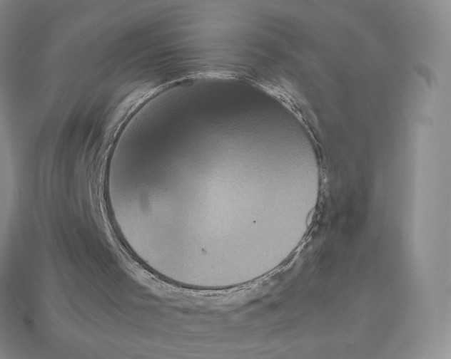 X0000112830001200910021232